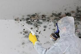 Mold Removal for HVAC Installations in Crown Point, IN